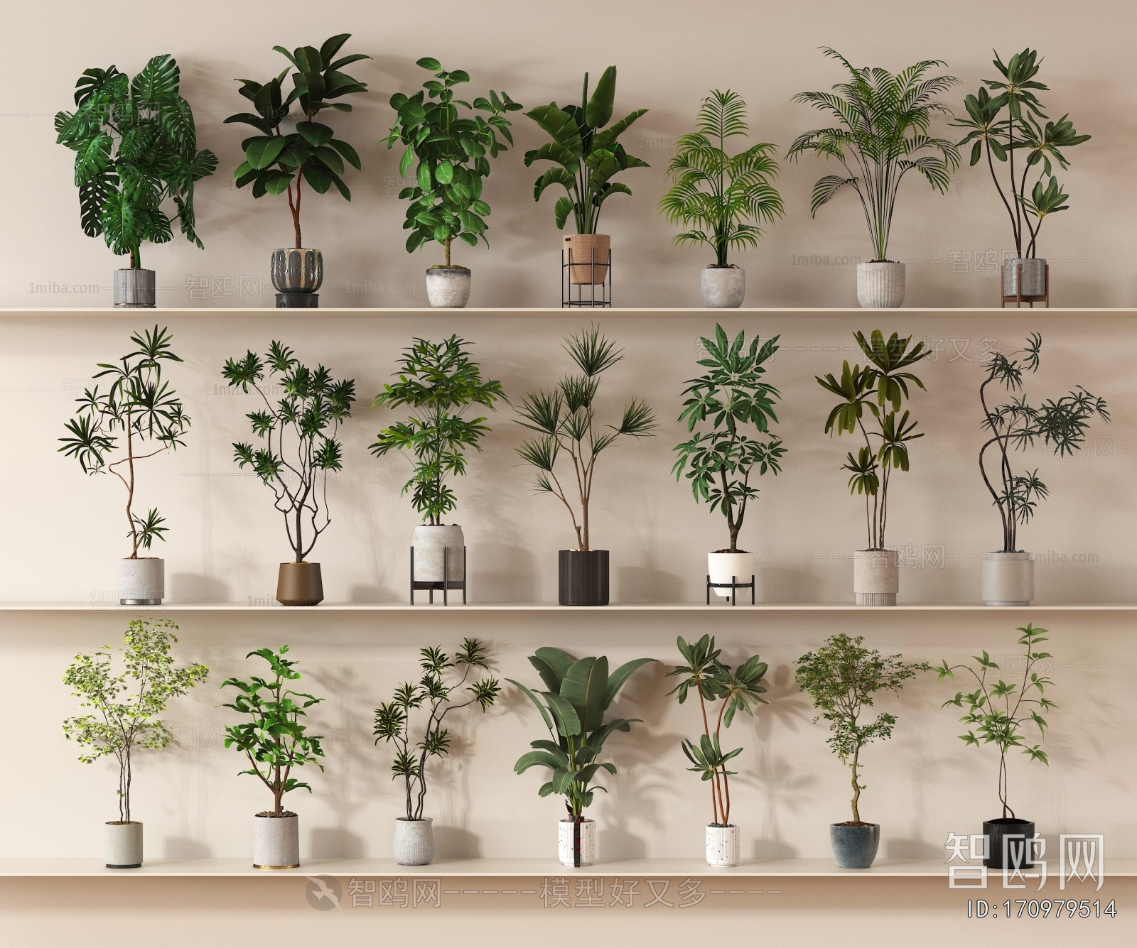 Modern Ground Green Plant Potted Plants