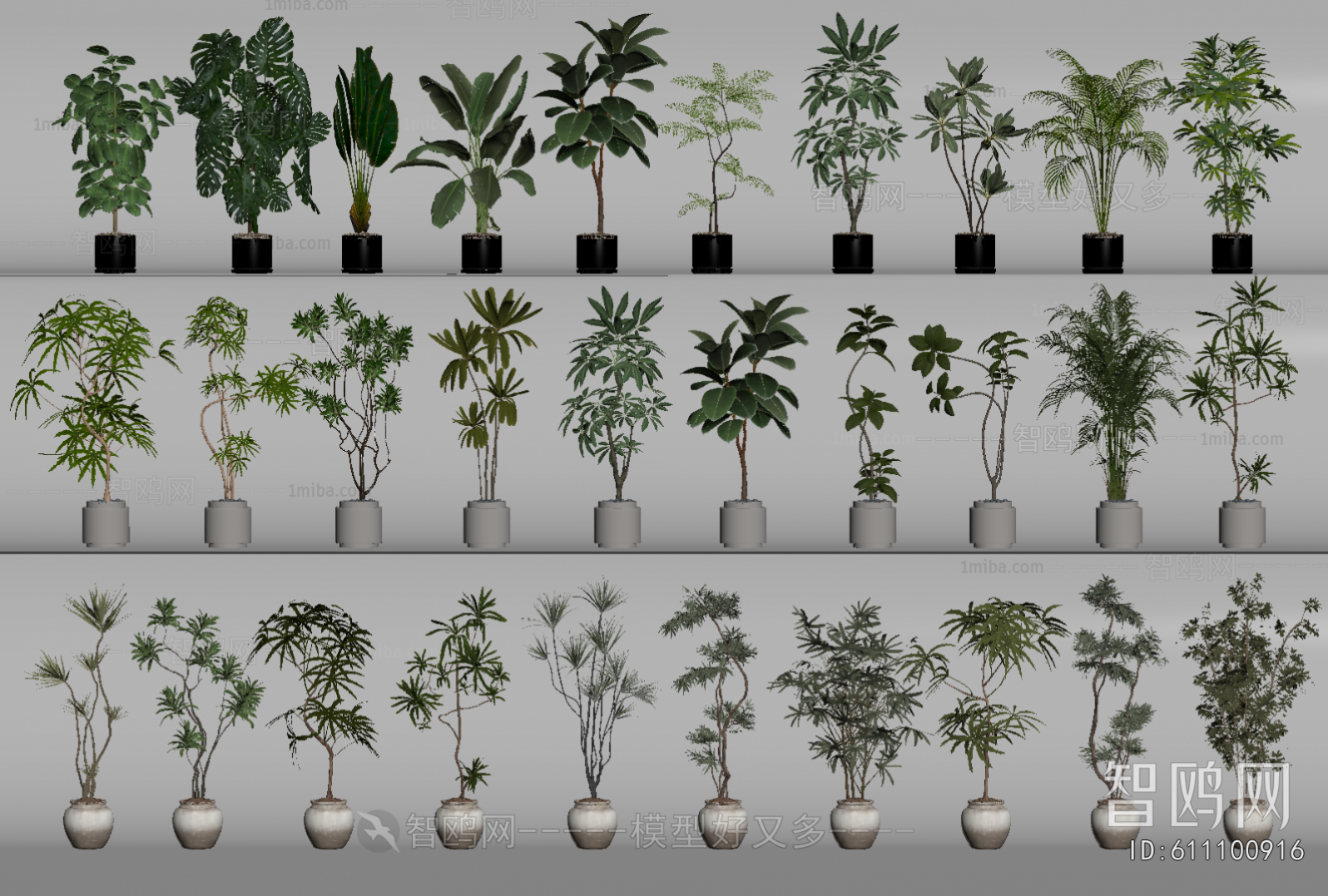 Modern Ground Green Plant Potted Plants