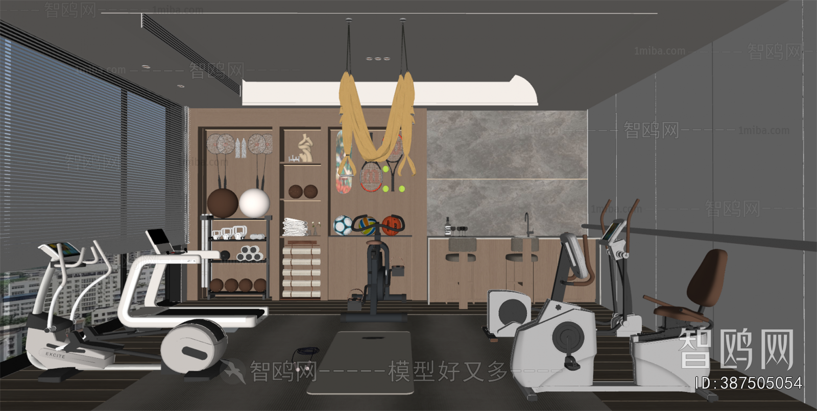 Modern Home Fitness Room