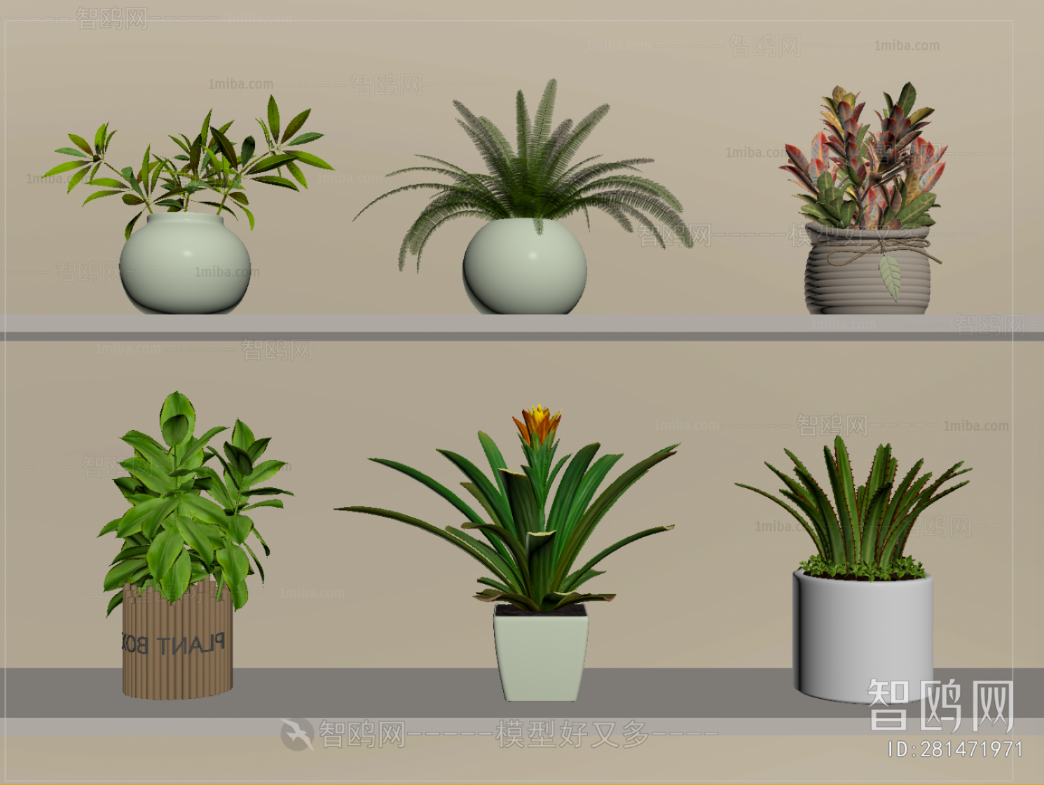 Modern Potted Green Plant