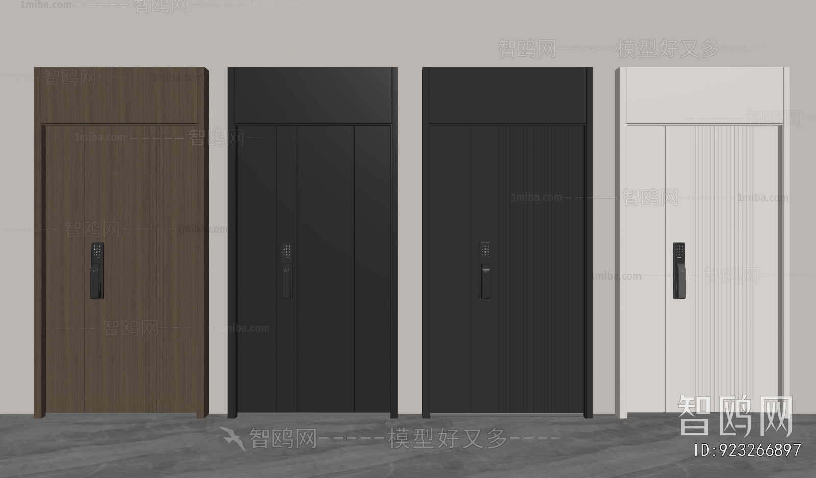 Modern Entrance Door