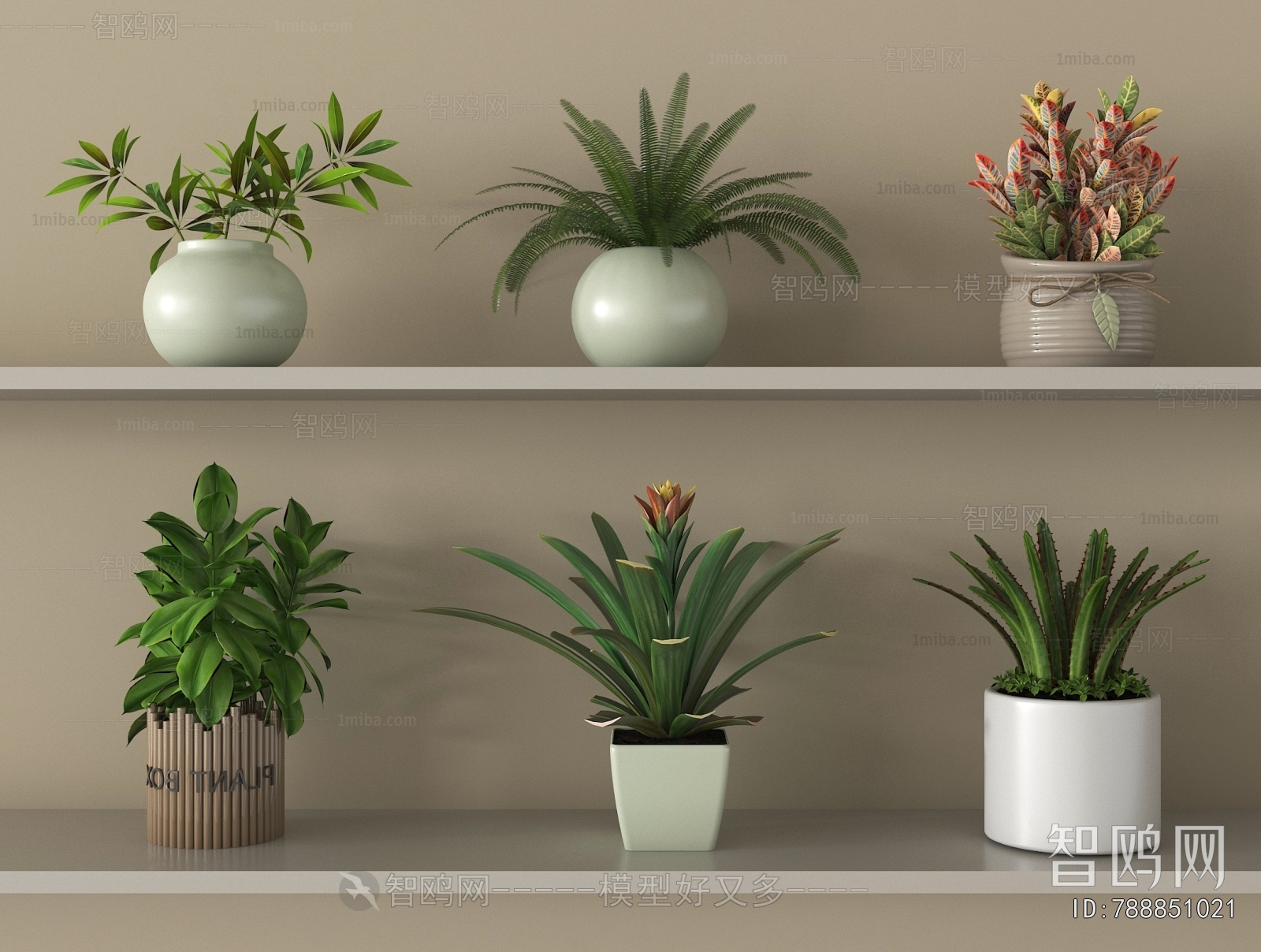 Modern Potted Green Plant