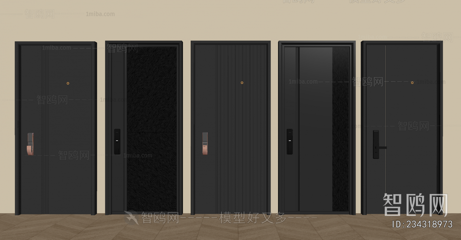 Modern Entrance Door