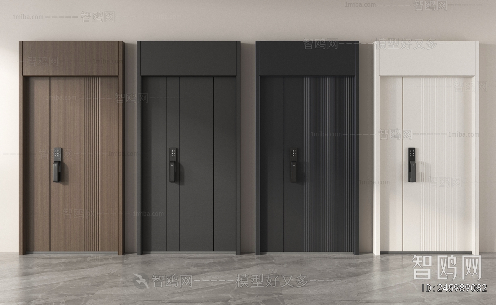 Modern Entrance Door