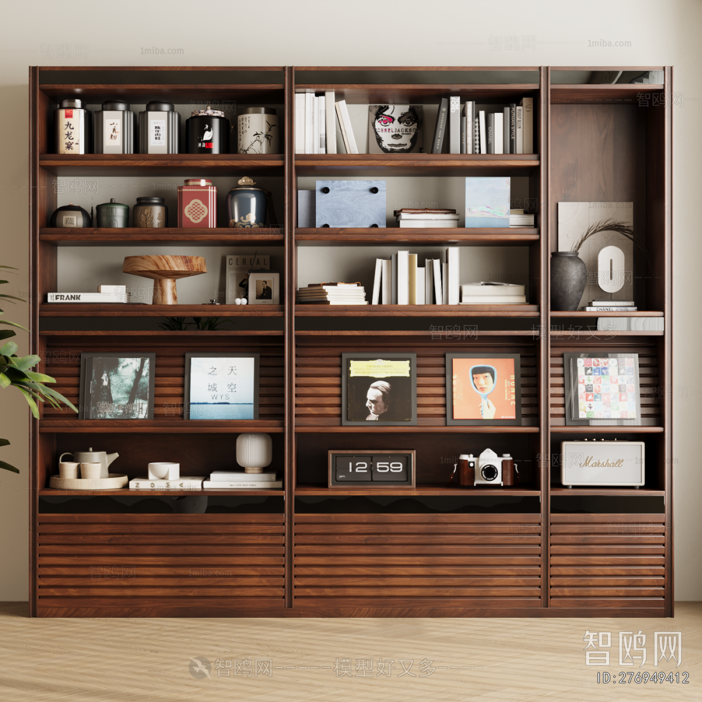 Modern Bookcase