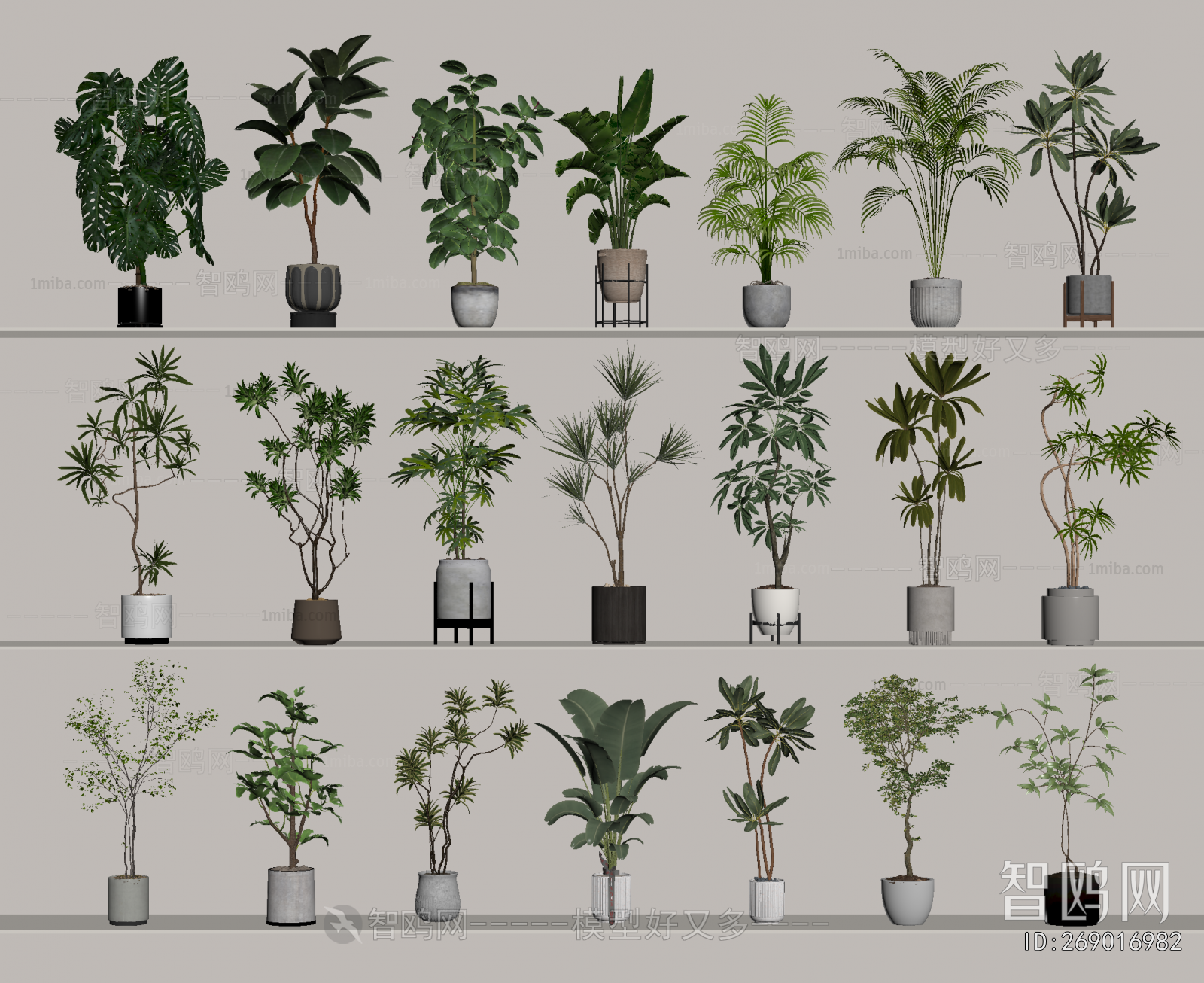 Modern Ground Green Plant Potted Plants