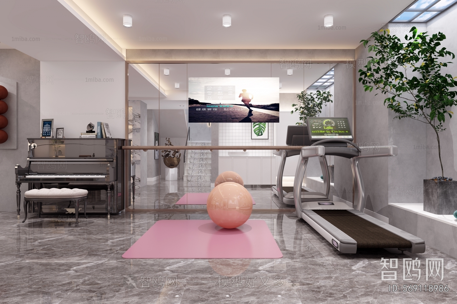 Modern Home Fitness Room