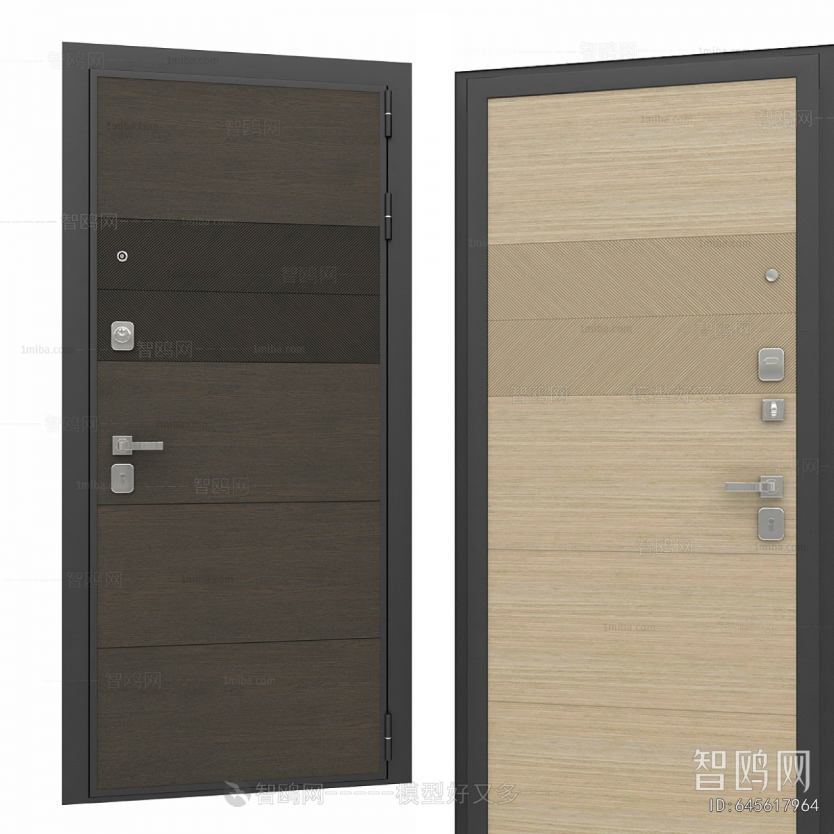 Modern Entrance Door