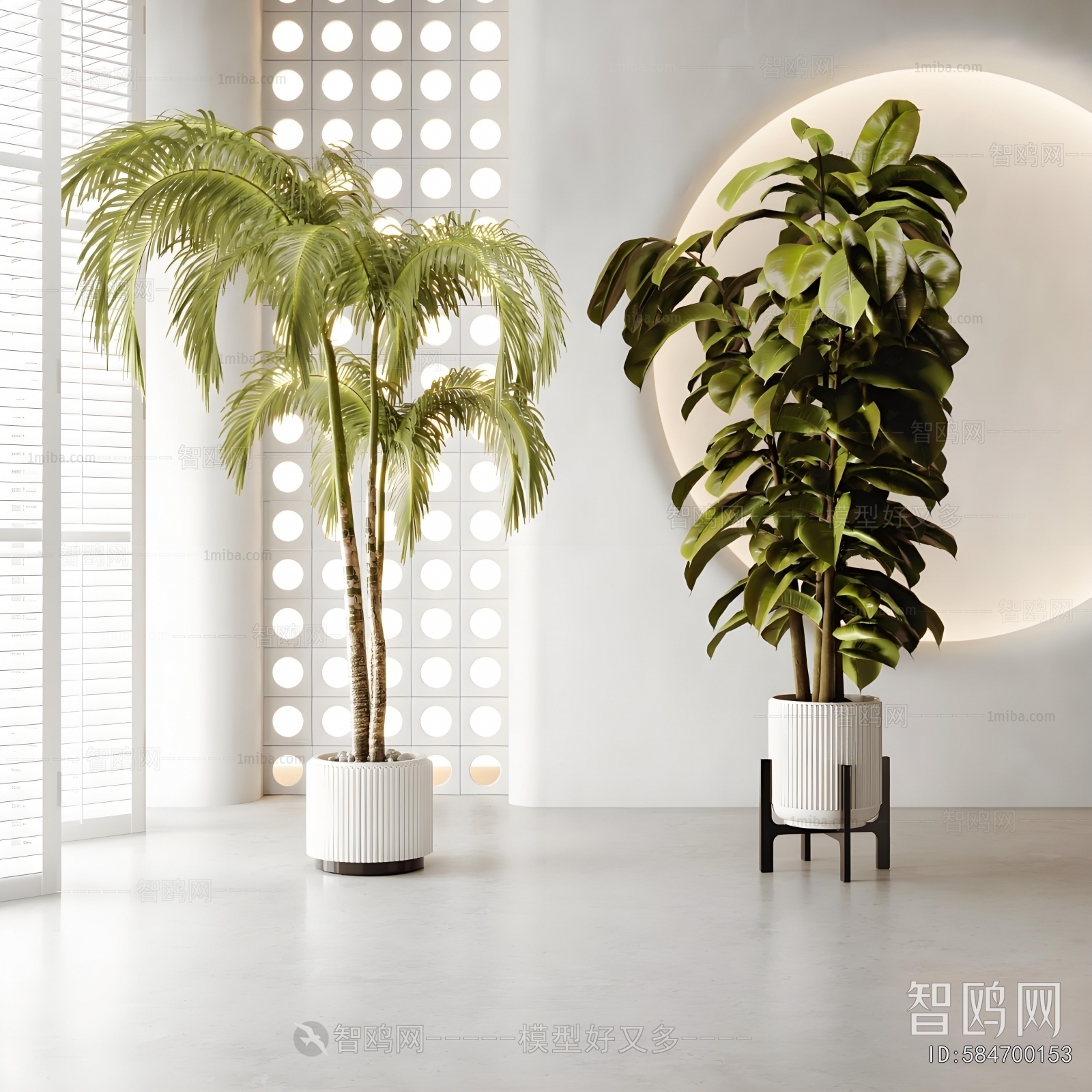 Modern Ground Green Plant Potted Plants