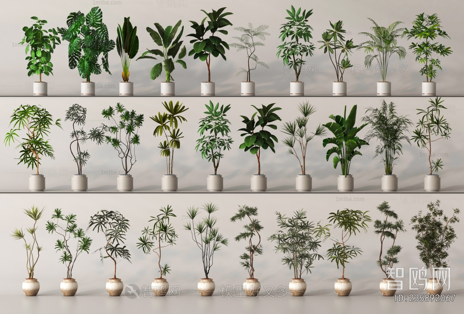 Modern Ground Green Plant Potted Plants