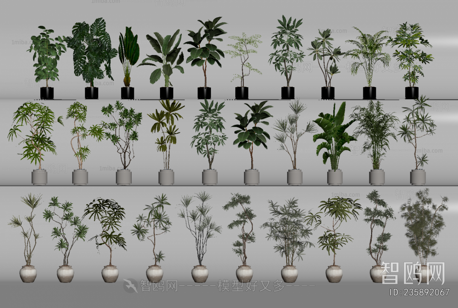 Modern Ground Green Plant Potted Plants
