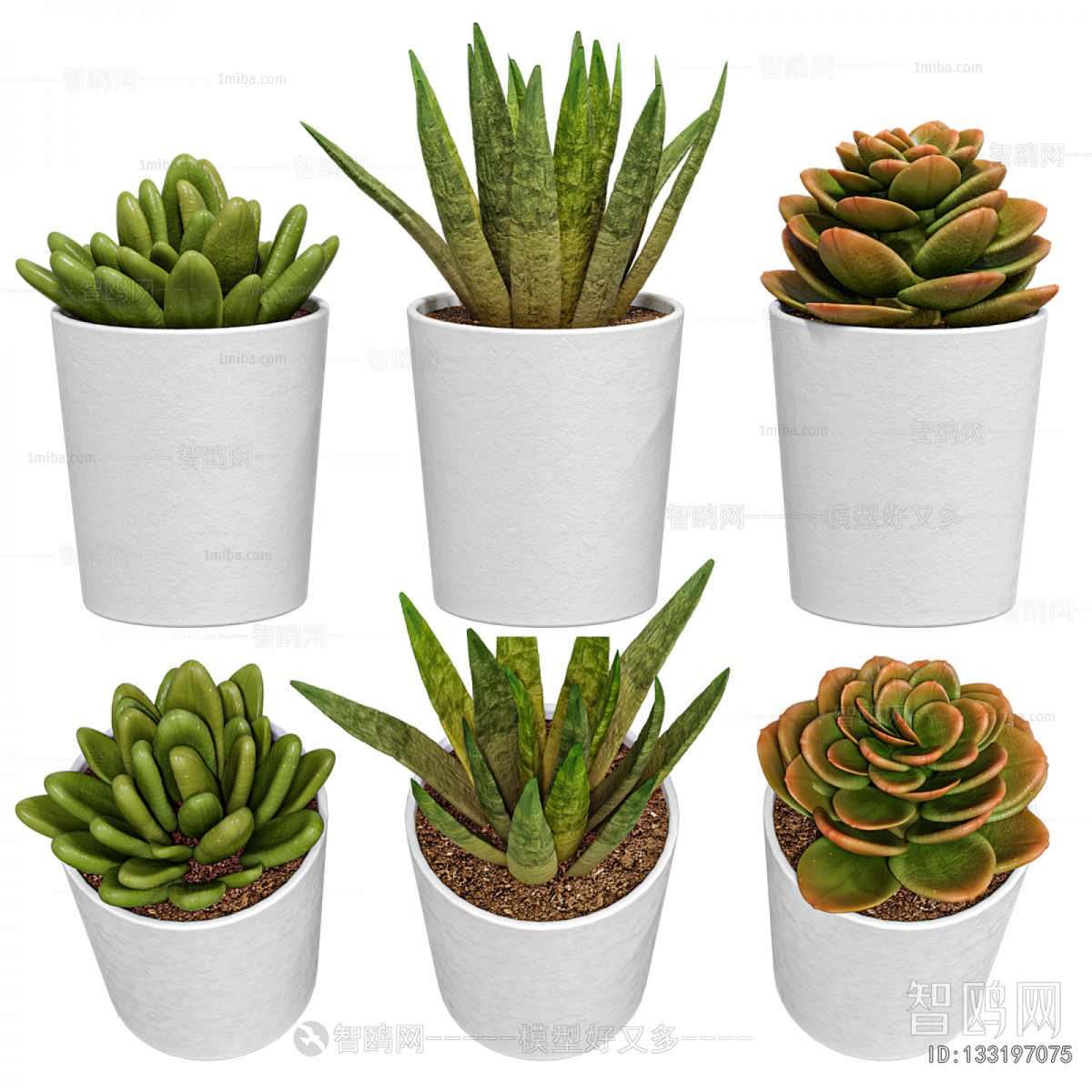 Modern Potted Green Plant