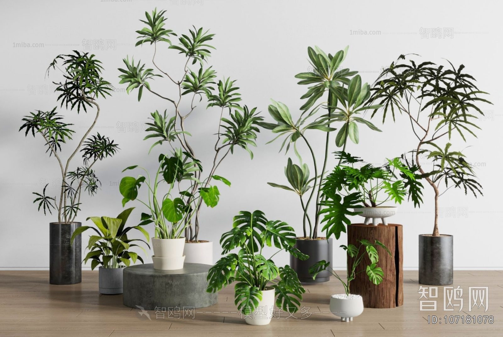 Modern Ground Green Plant Potted Plants