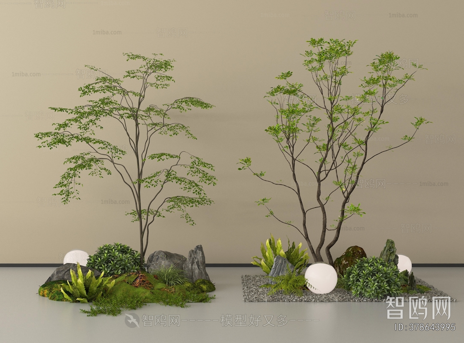 Modern Plant Landscaping