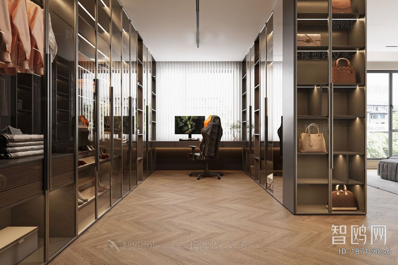 Modern Clothes Storage Area