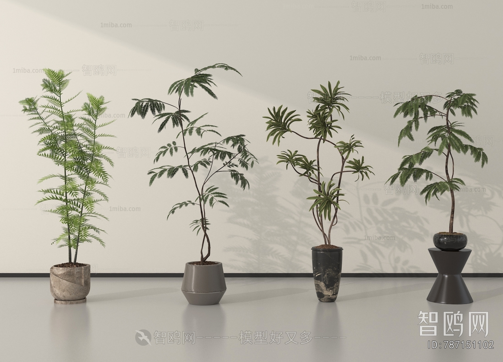 Modern Ground Green Plant Potted Plants