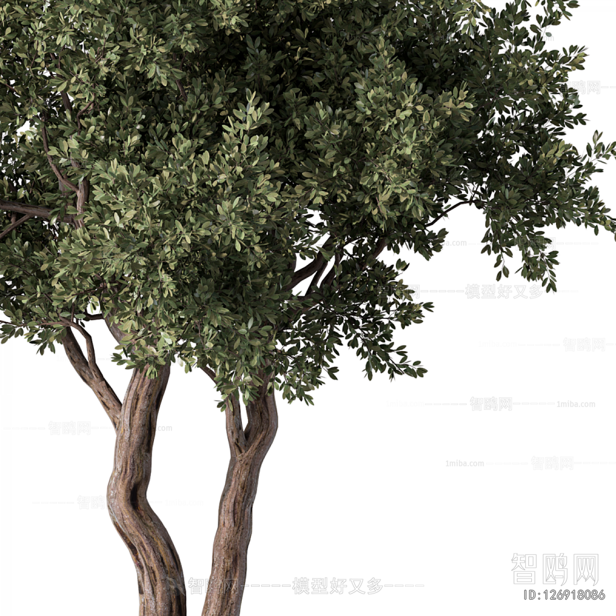 Modern Tree