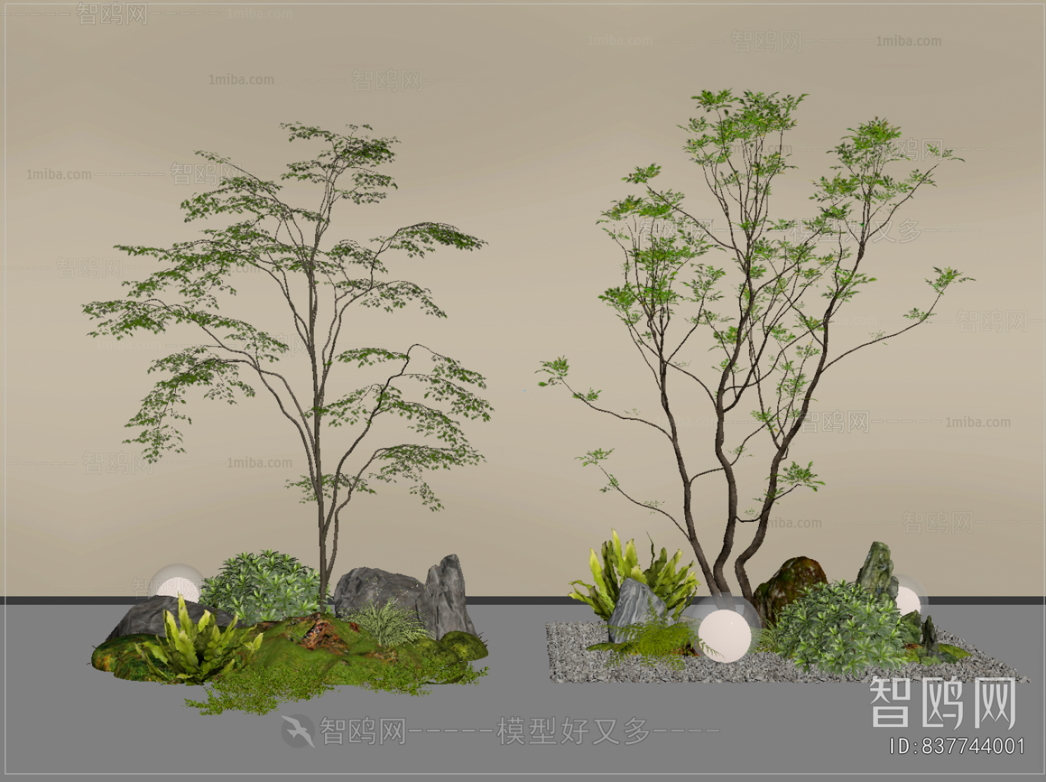 Modern Plant Landscaping