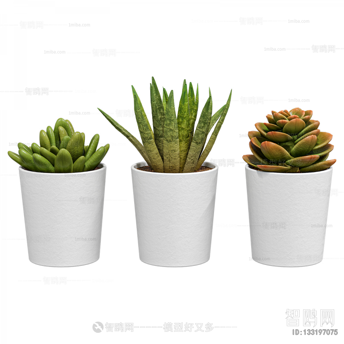 Modern Potted Green Plant