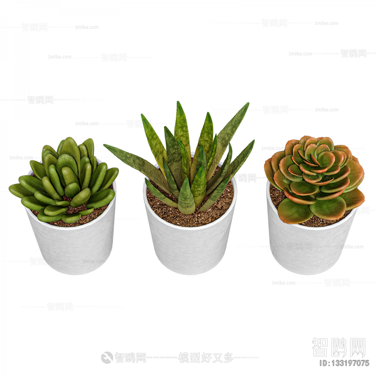 Modern Potted Green Plant