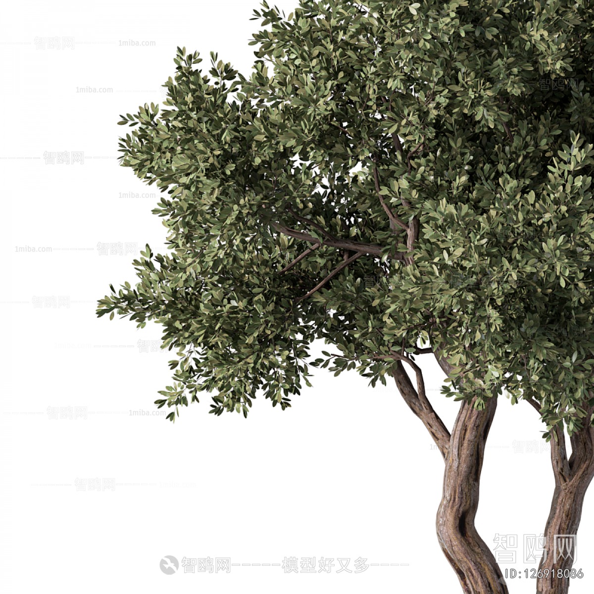 Modern Tree