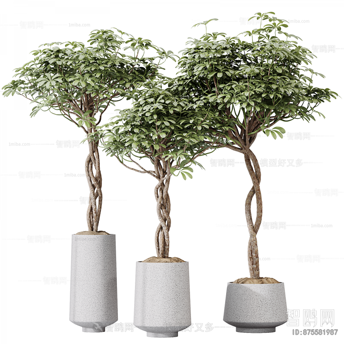 Modern Ground Green Plant Potted Plants