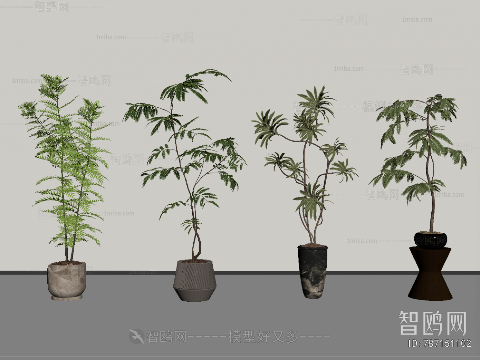 Modern Ground Green Plant Potted Plants