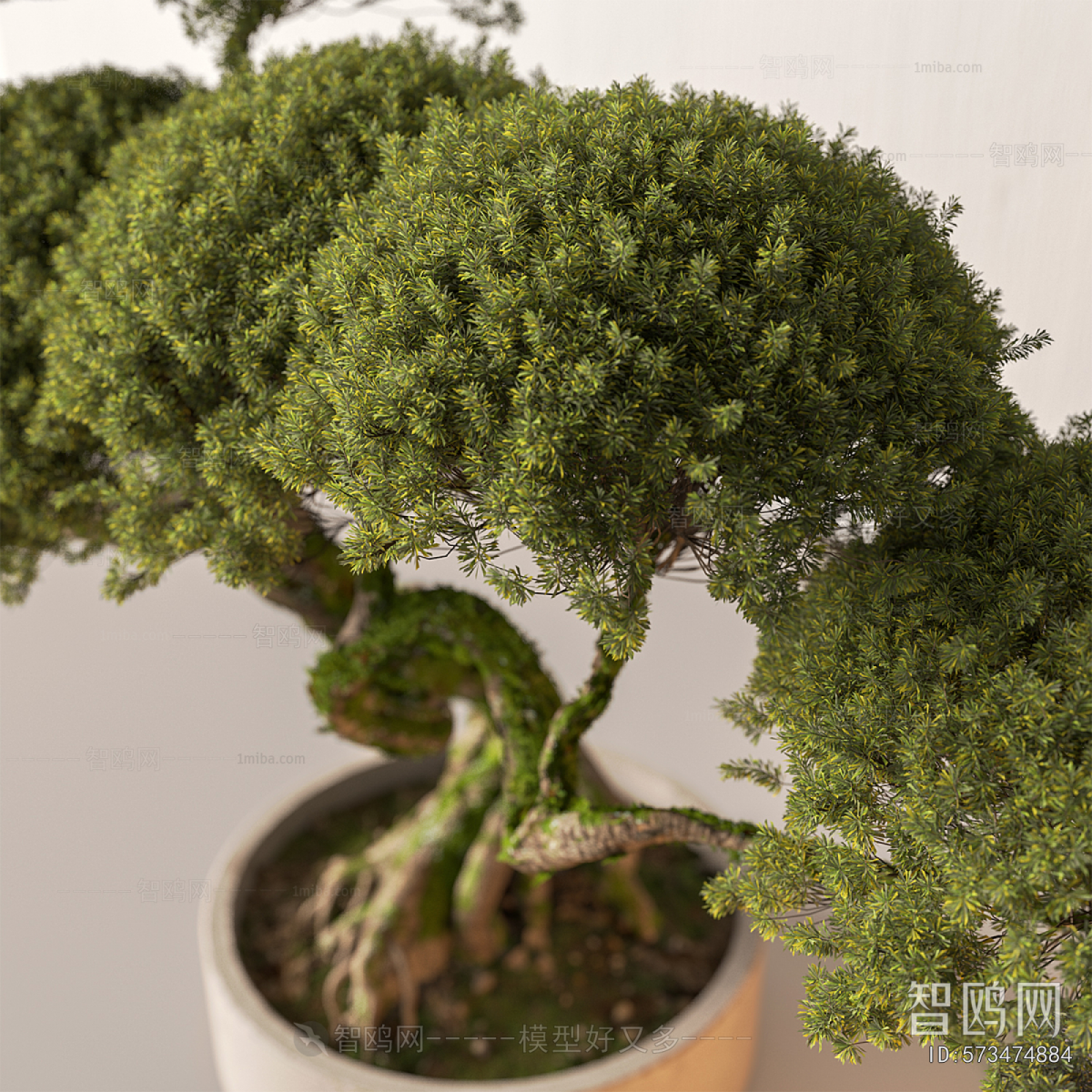 New Chinese Style Bonsai