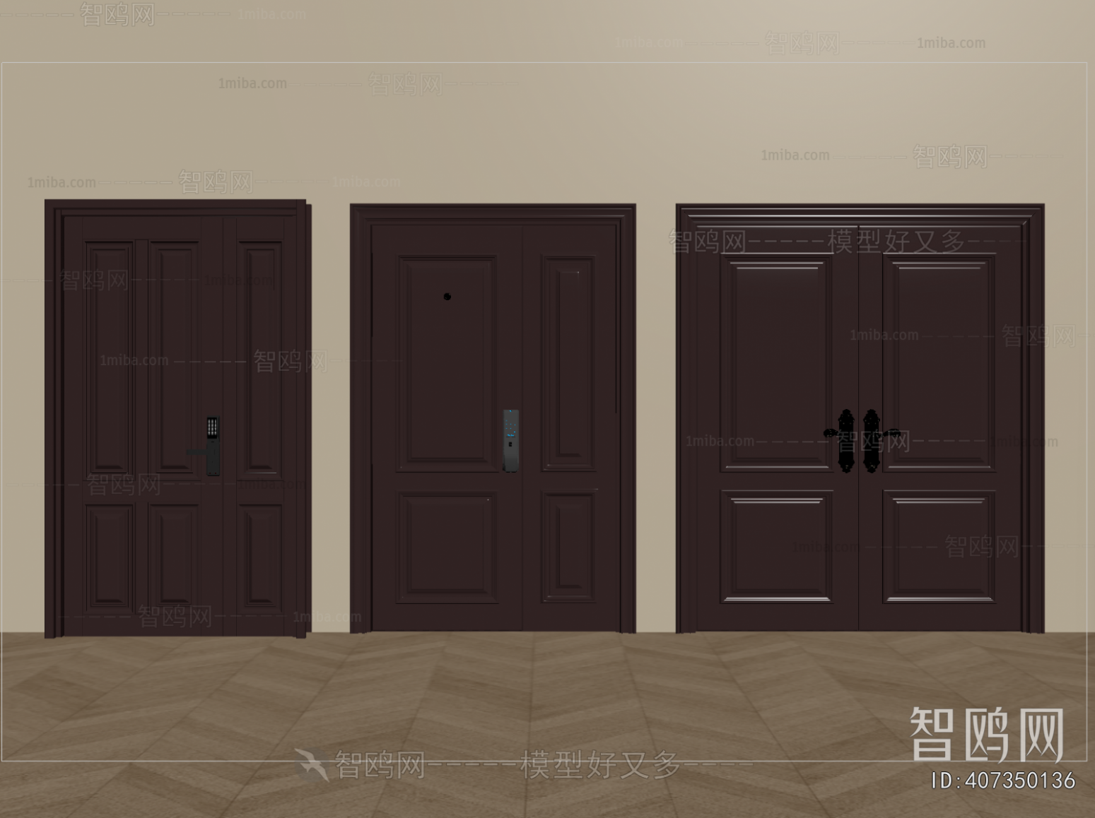 Modern Entrance Door