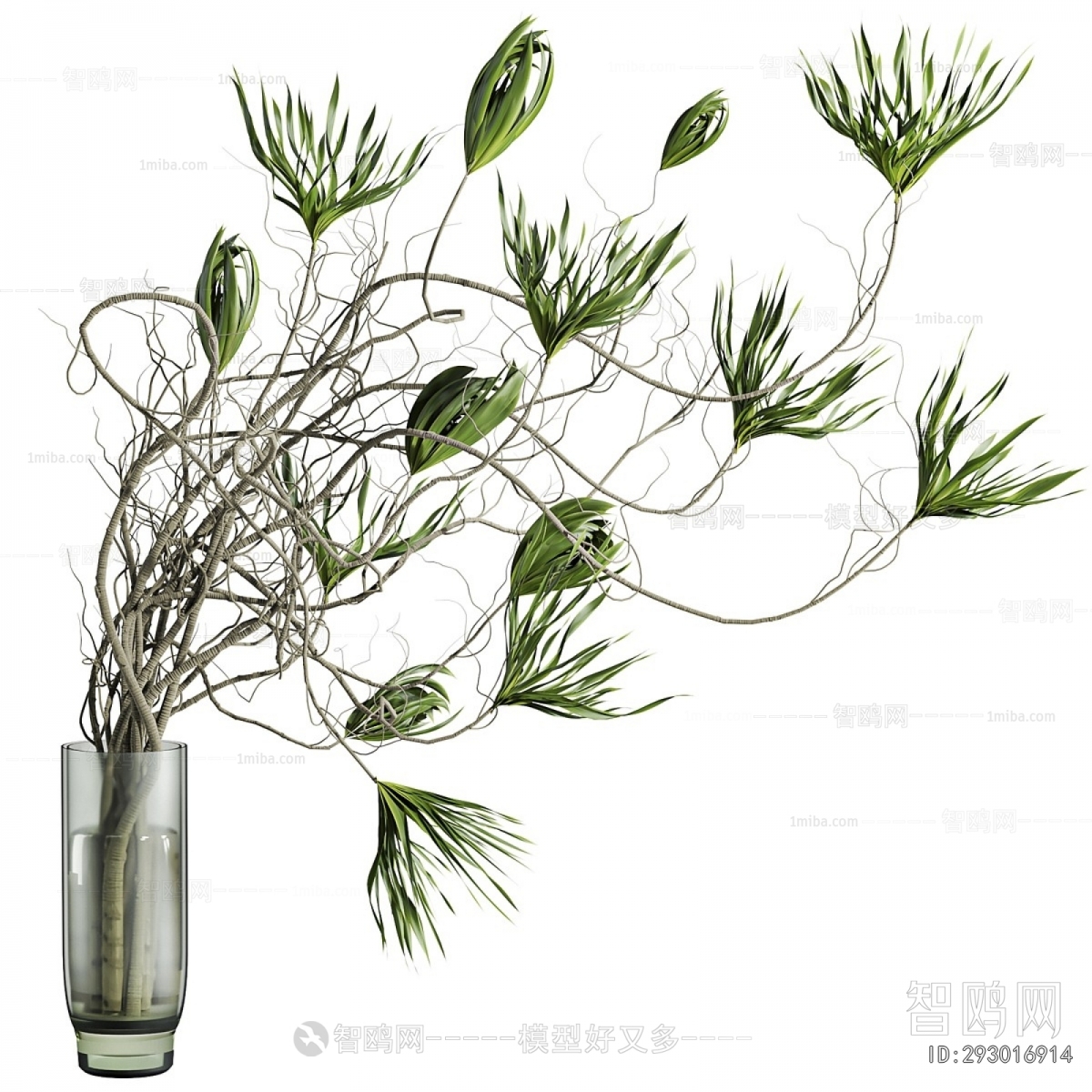 Modern Aquatic Green Plant