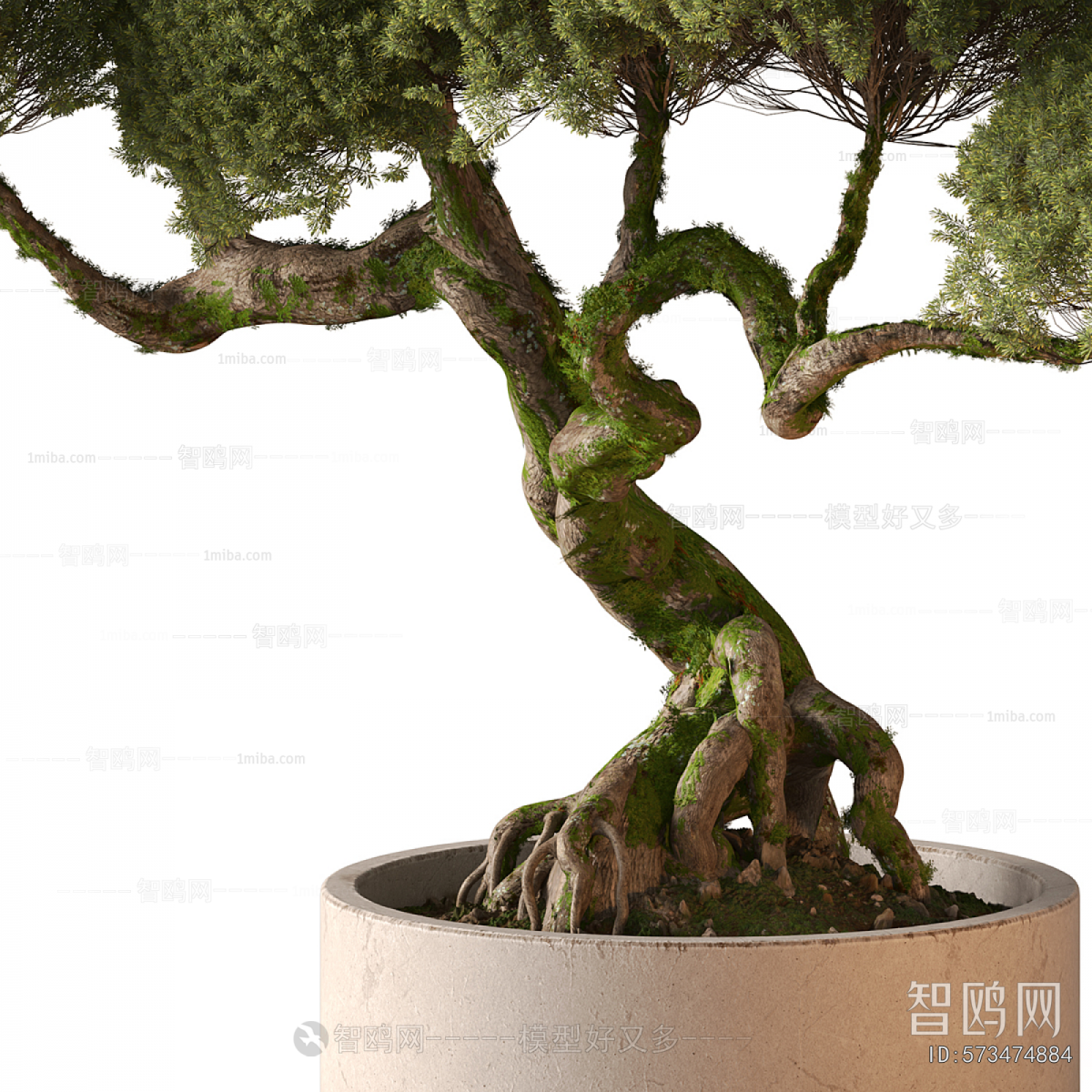 New Chinese Style Bonsai