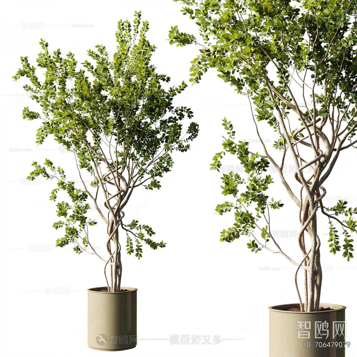 Modern Ground Green Plant Potted Plants