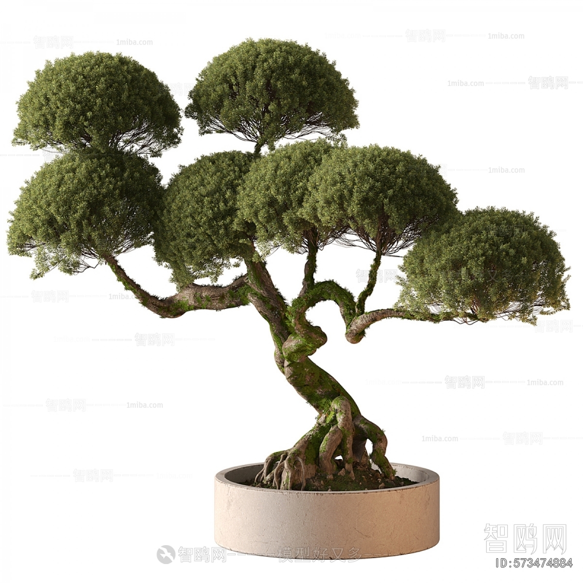 New Chinese Style Bonsai
