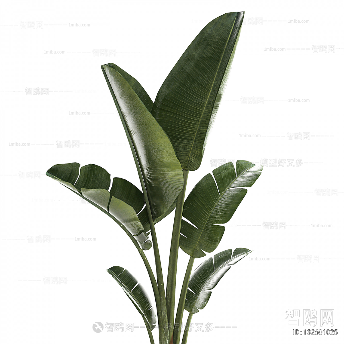 Modern Ground Green Plant Potted Plants