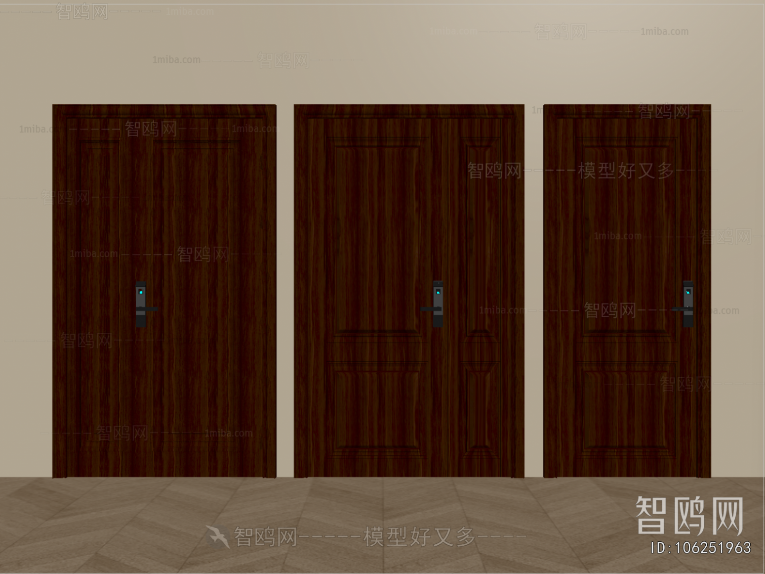 Modern Entrance Door