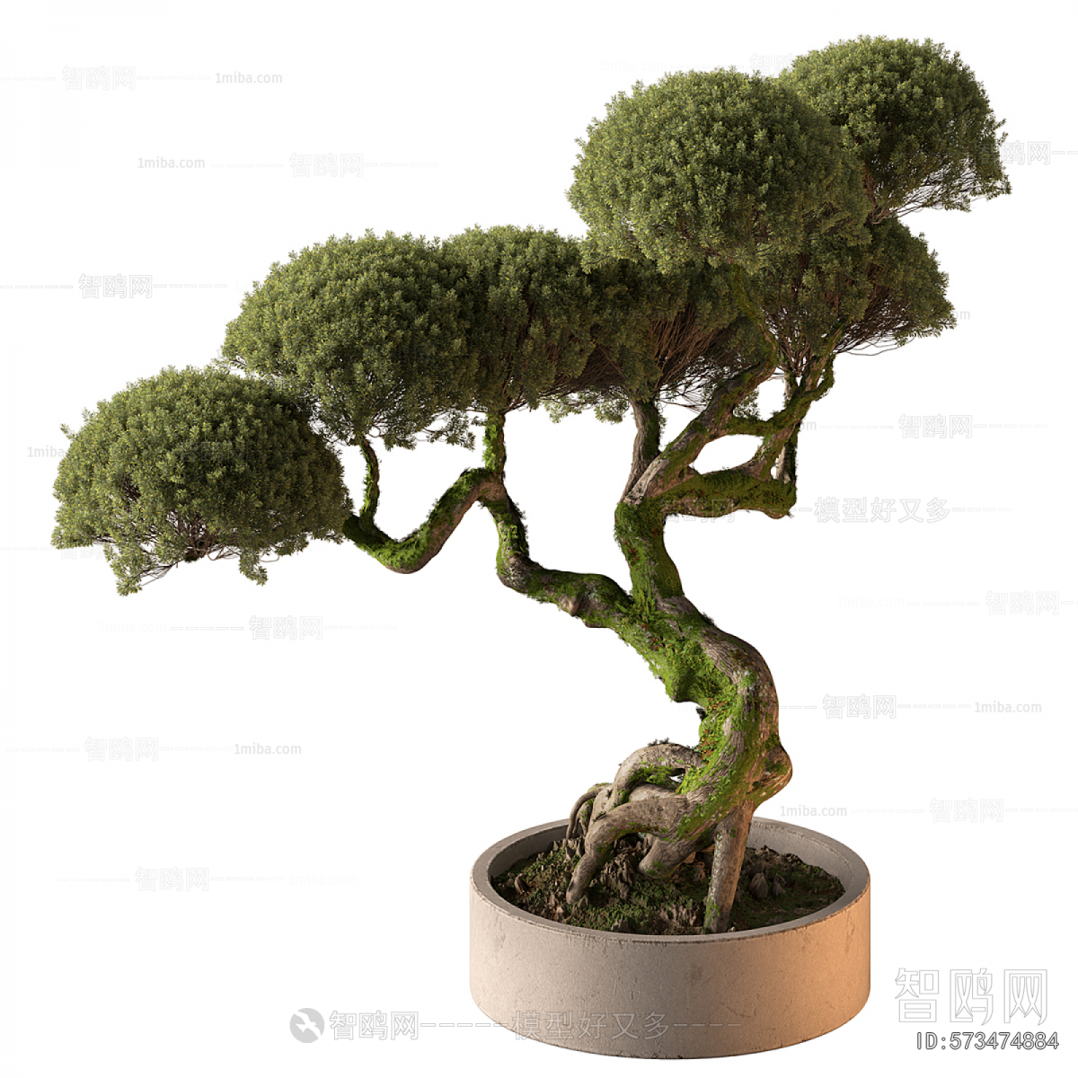 New Chinese Style Bonsai