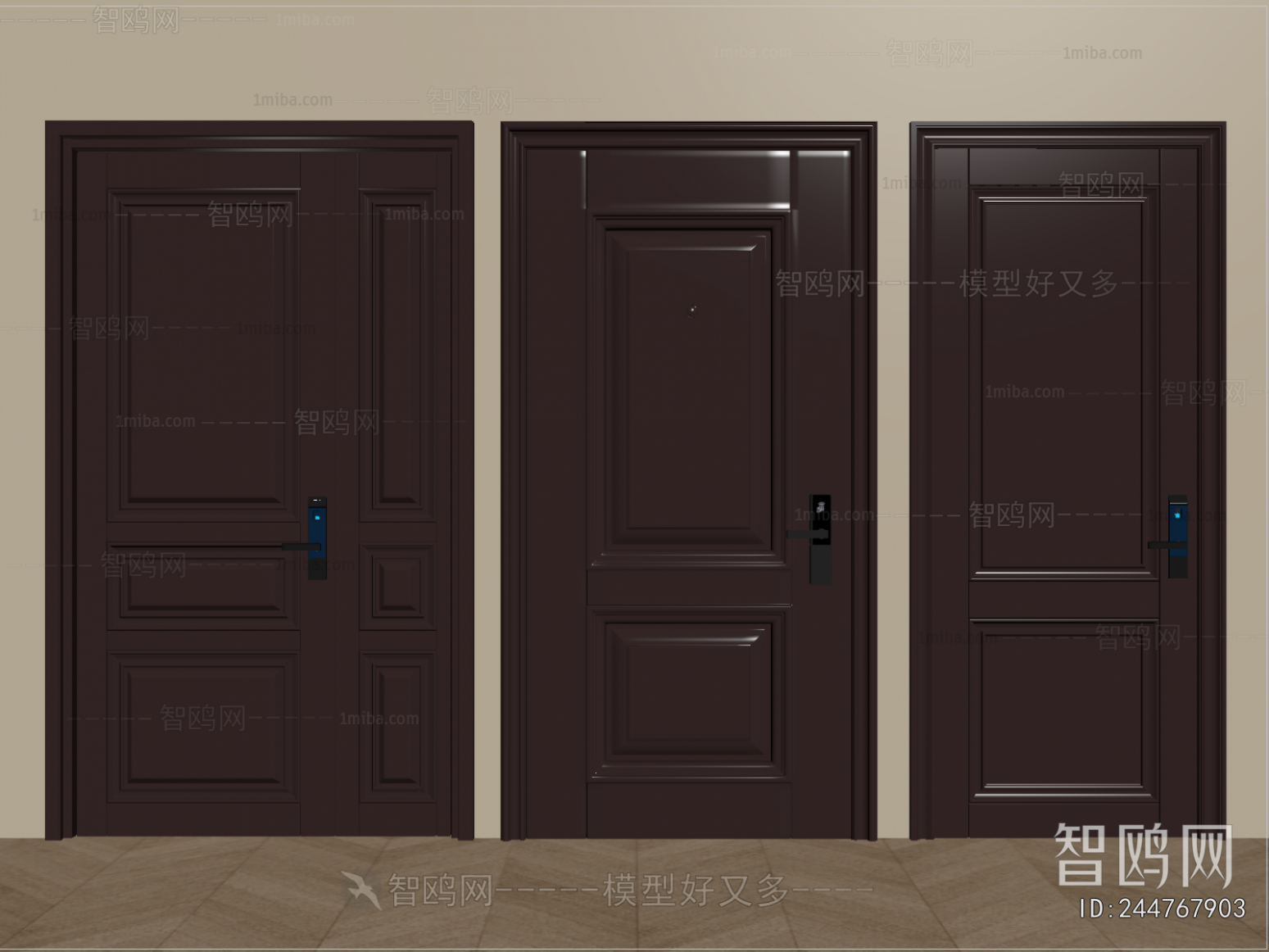 Modern Entrance Door