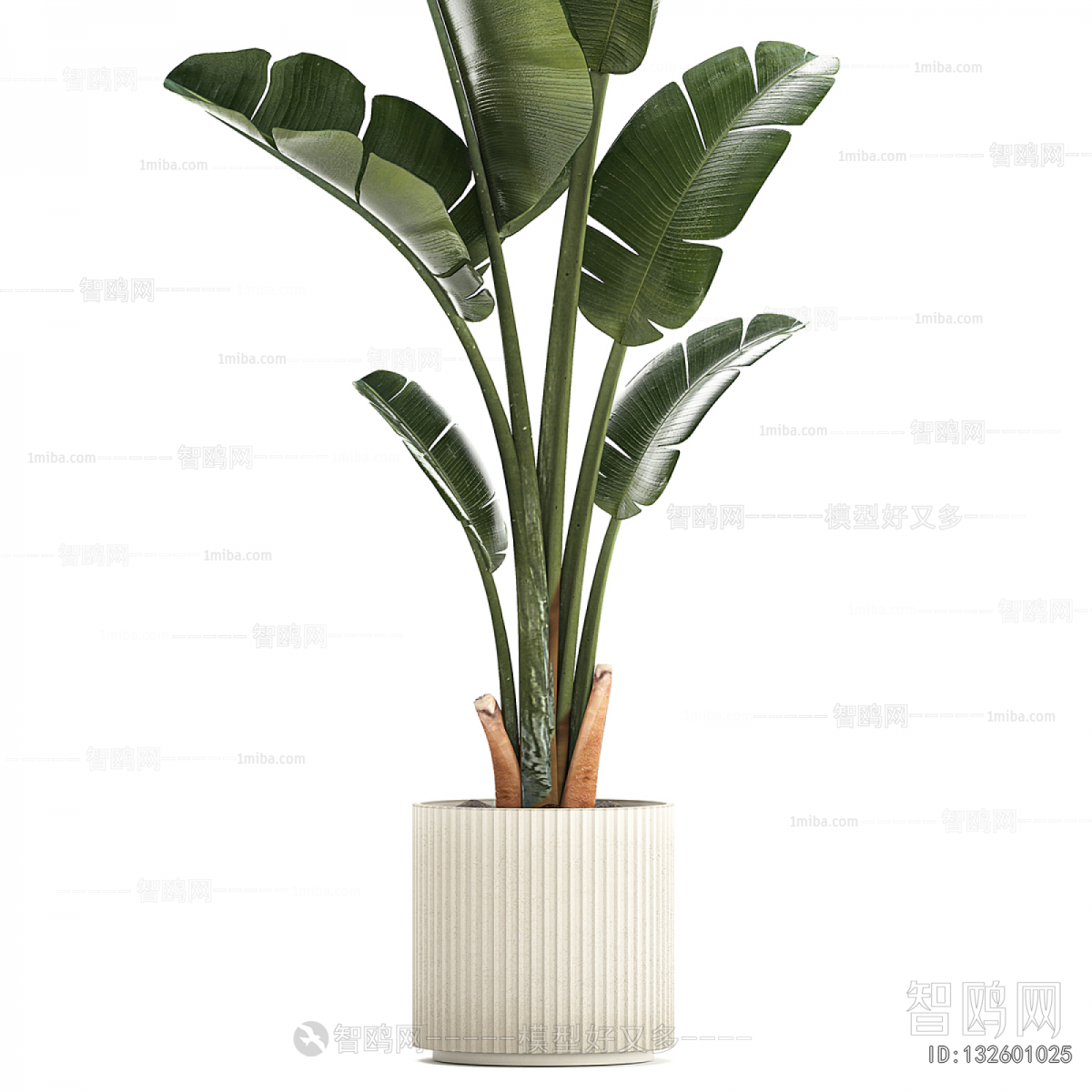 Modern Ground Green Plant Potted Plants