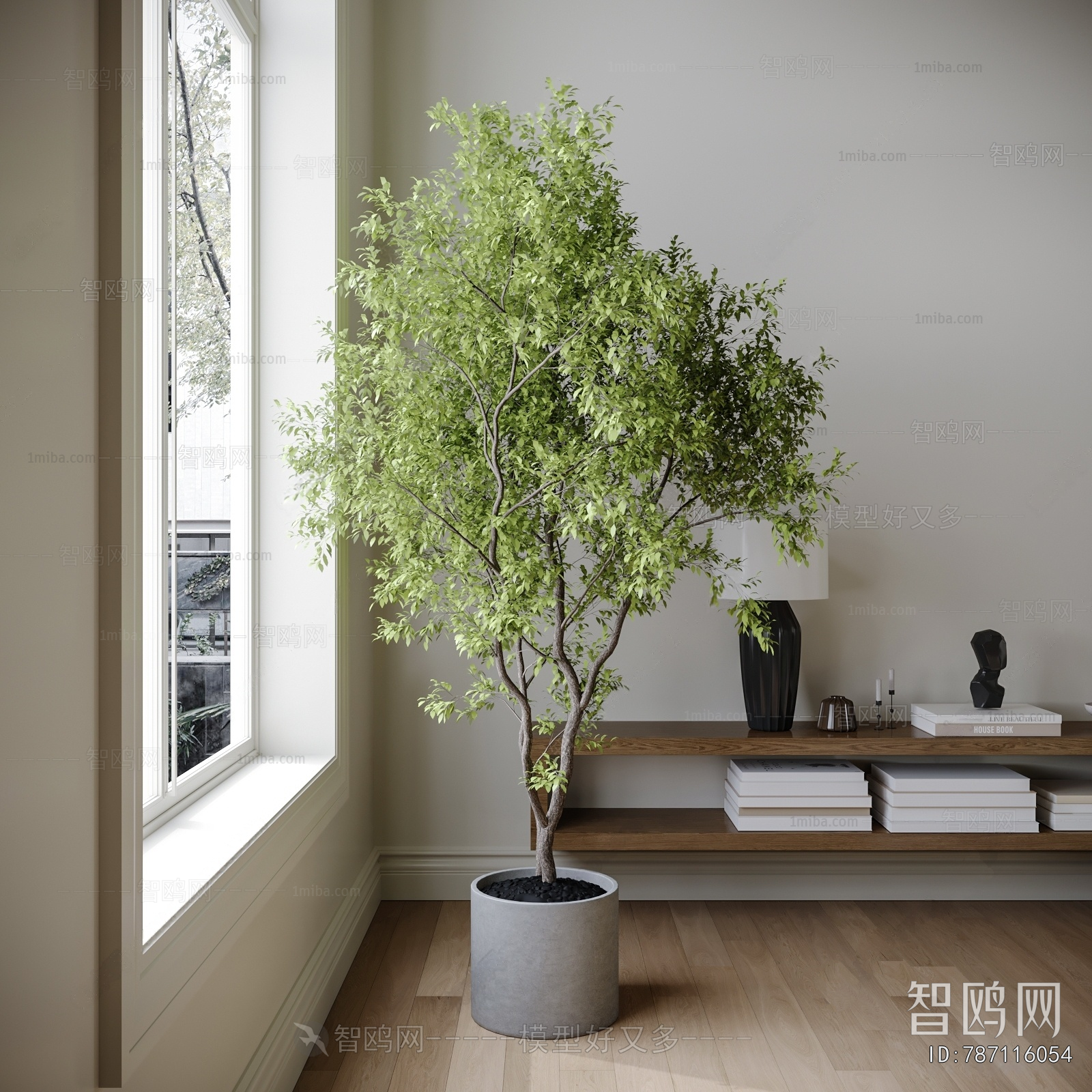 Modern Ground Green Plant Potted Plants