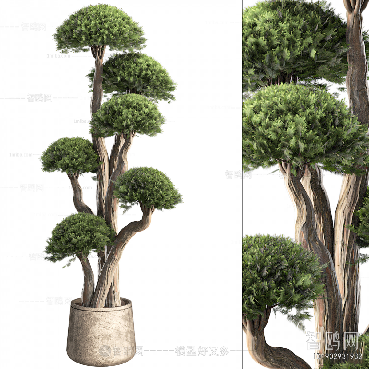 Modern Ground Green Plant Potted Plants