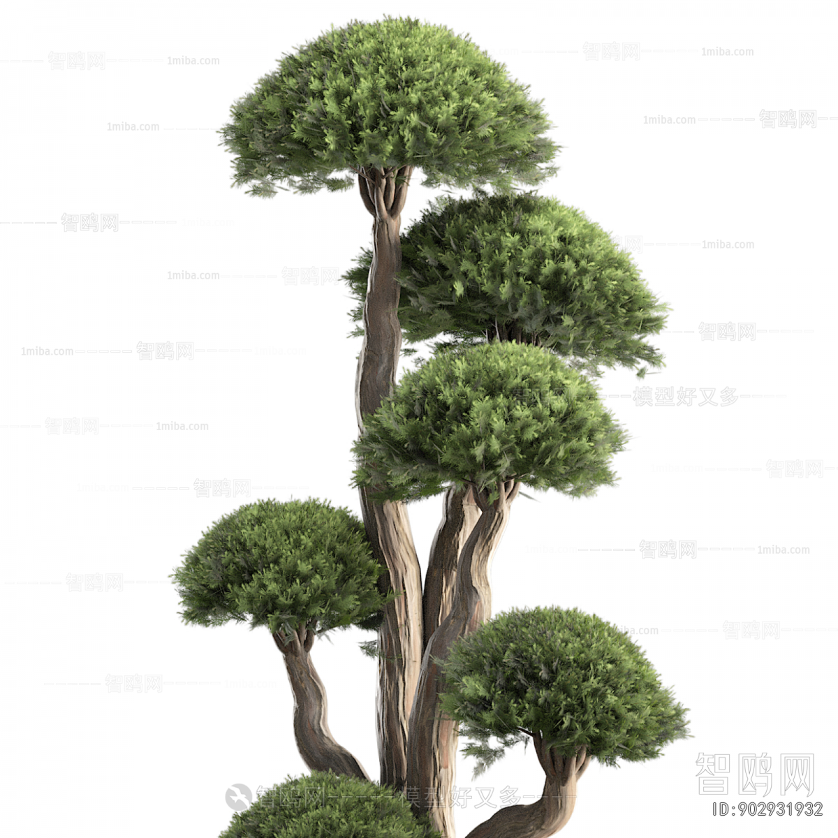 Modern Ground Green Plant Potted Plants