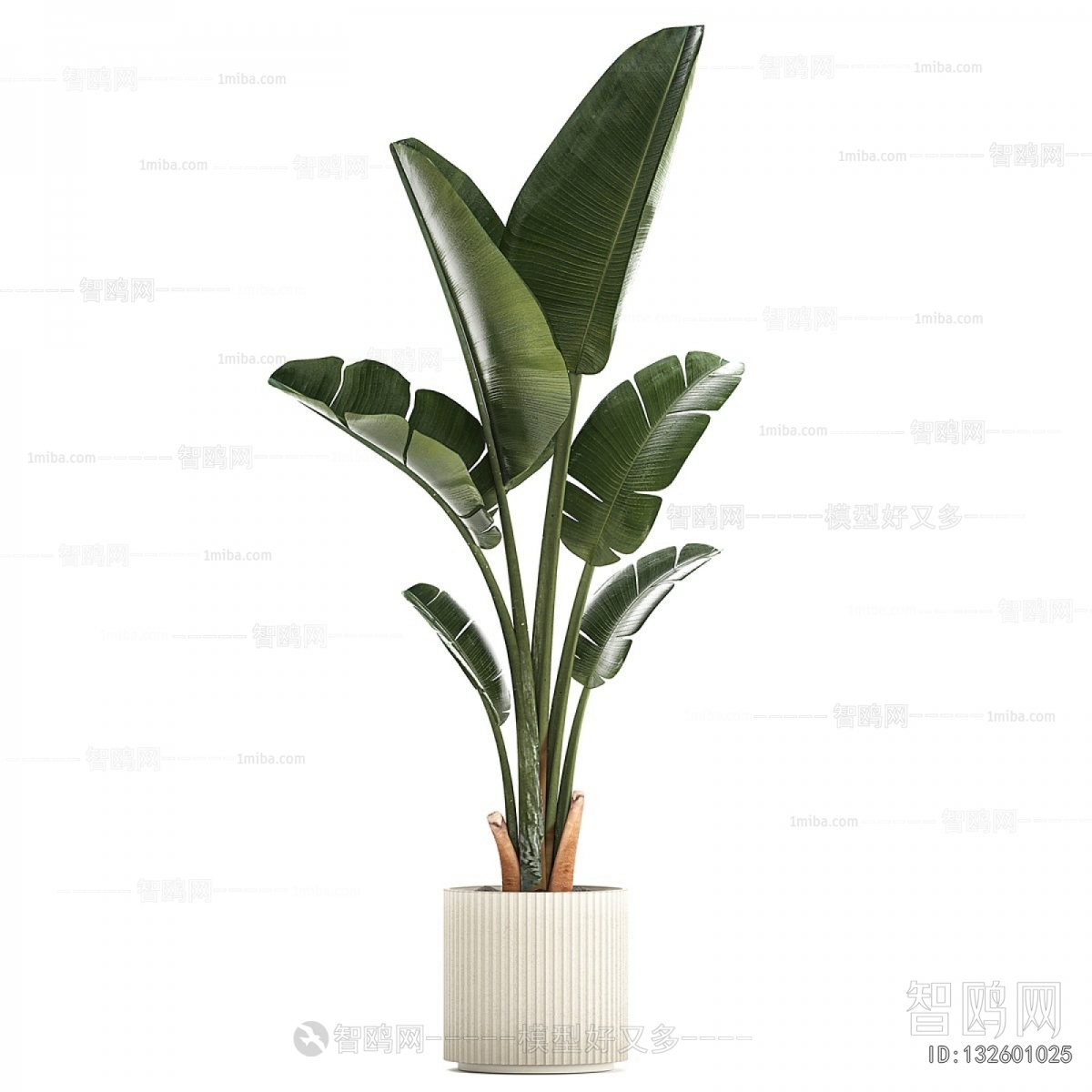 Modern Ground Green Plant Potted Plants