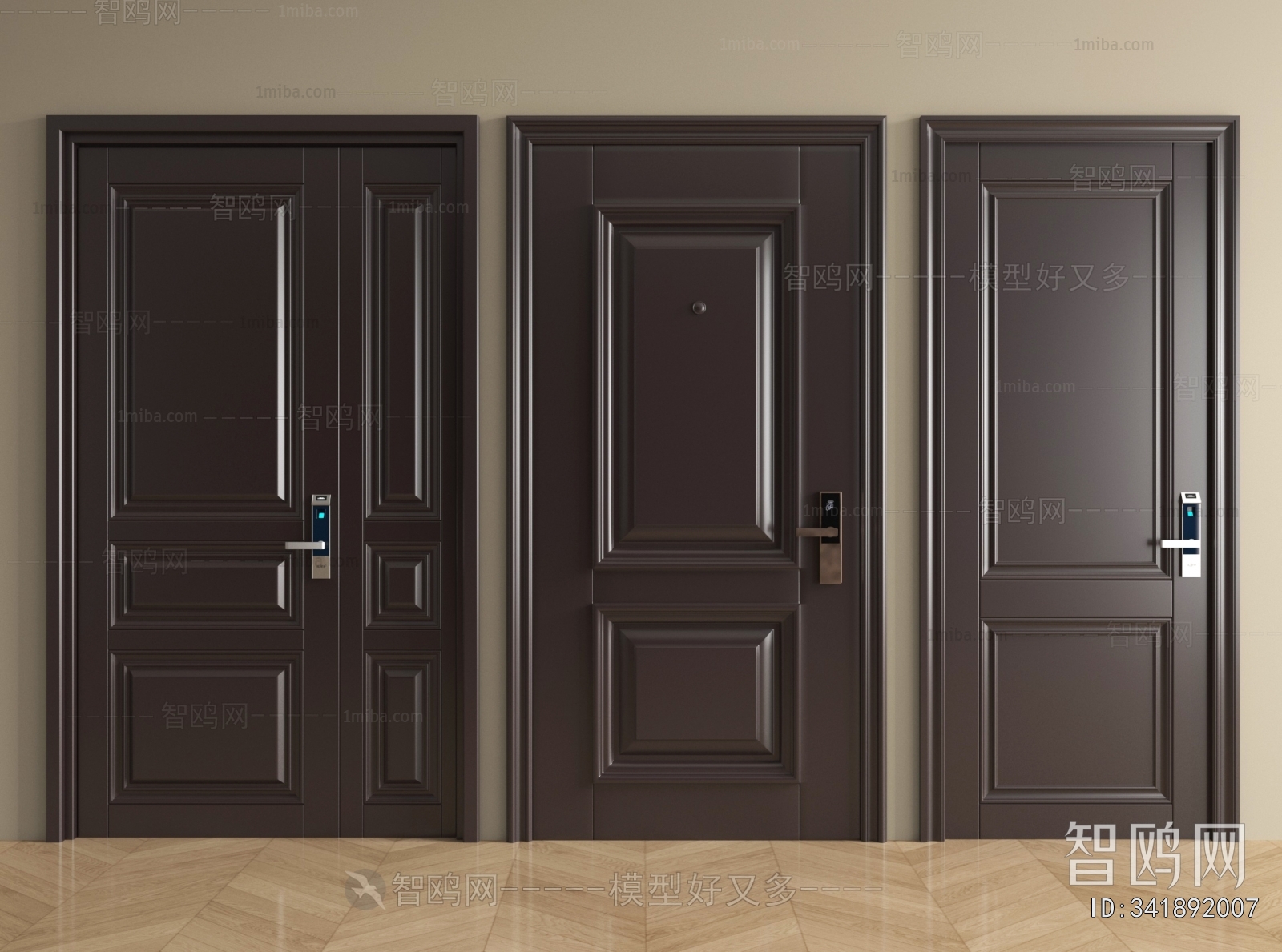 Modern Entrance Door