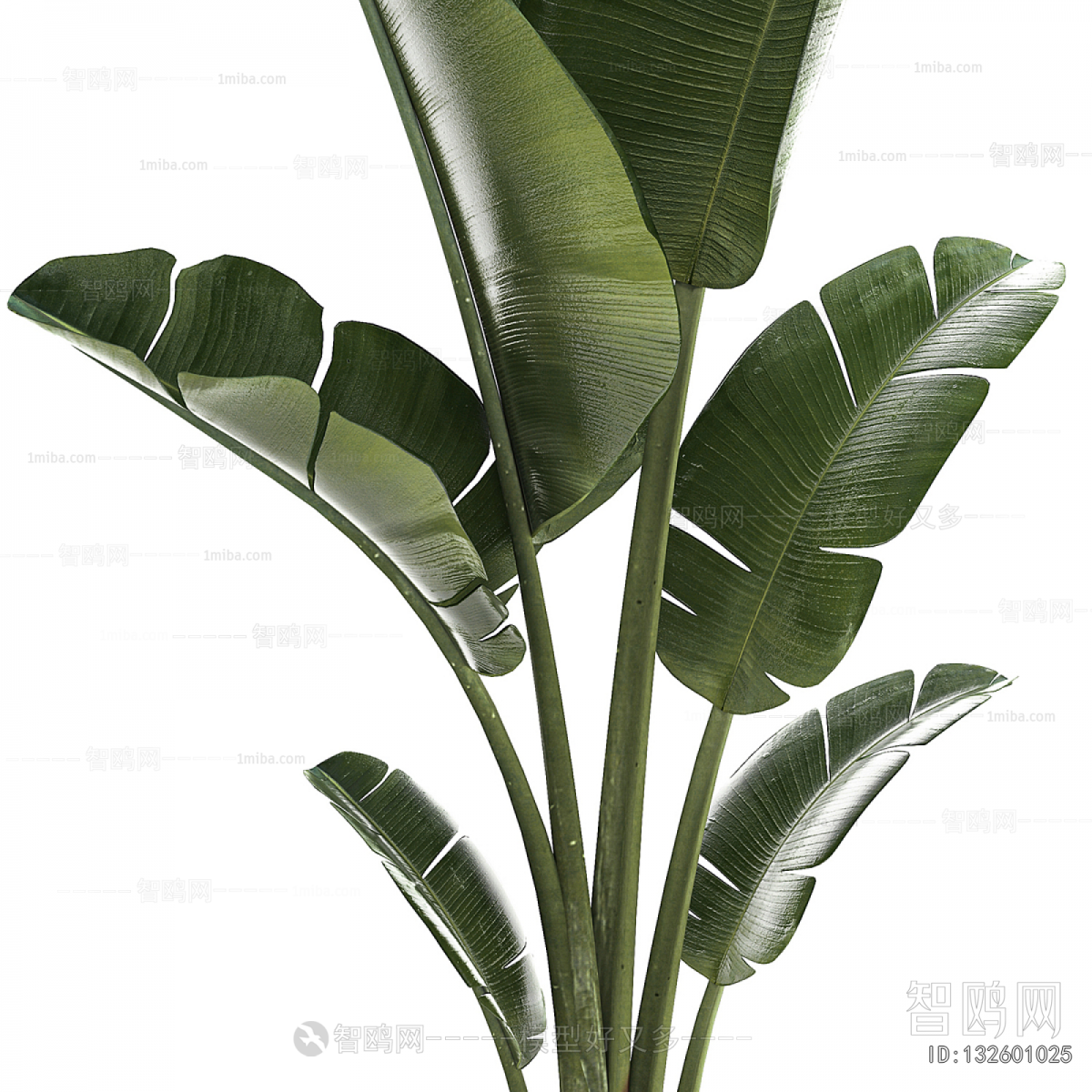 Modern Ground Green Plant Potted Plants