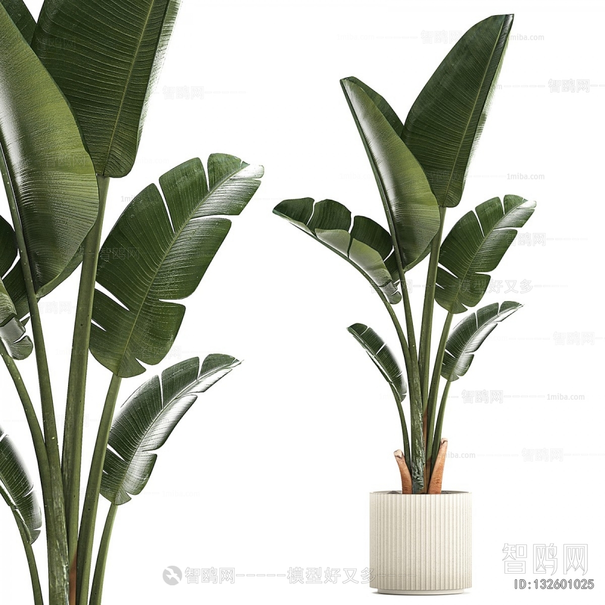 Modern Ground Green Plant Potted Plants
