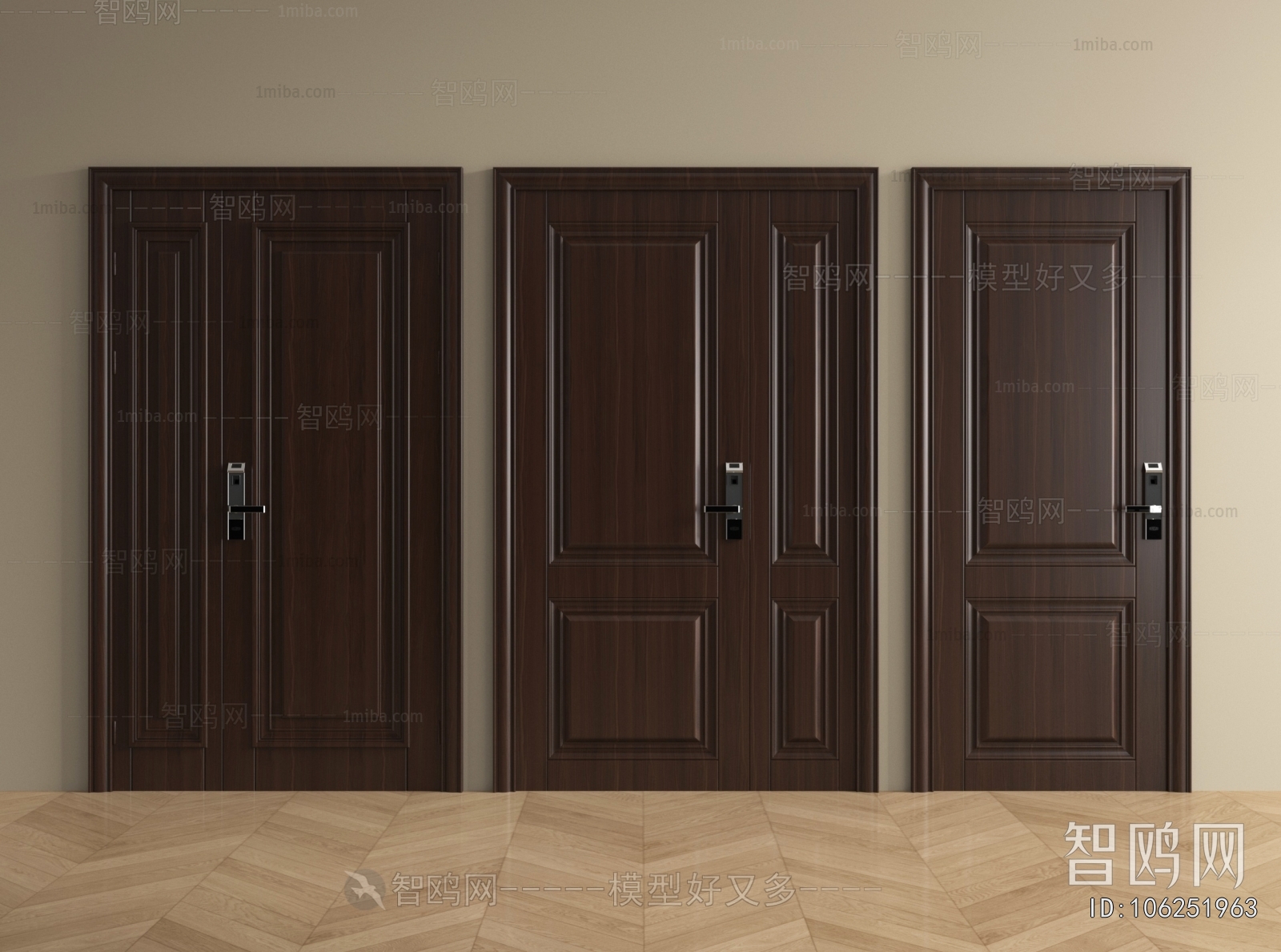 Modern Entrance Door