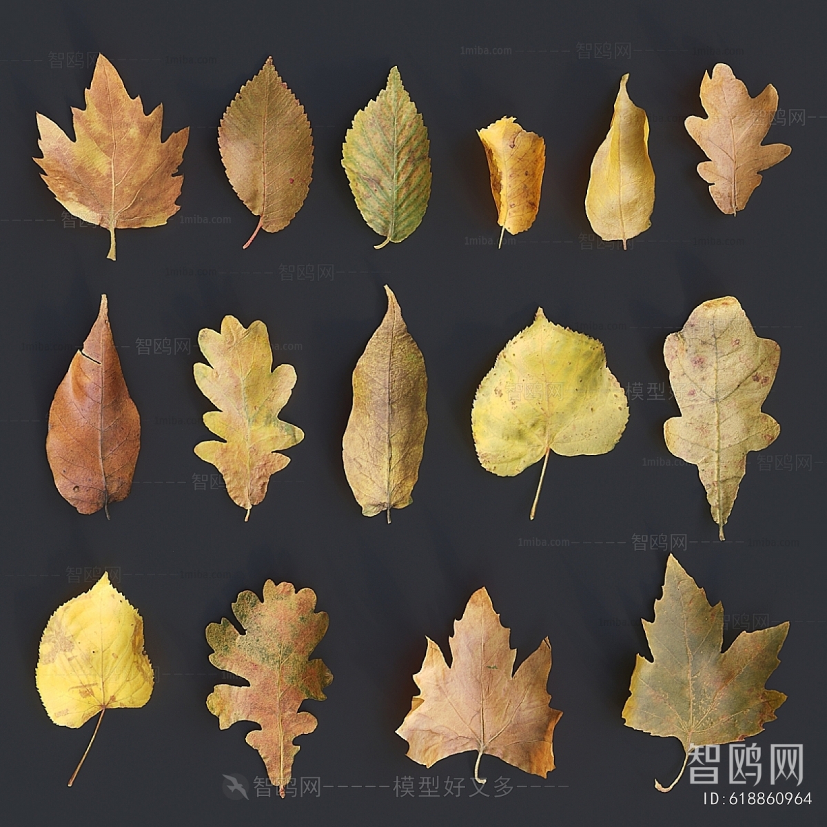 Modern Tree/shrub/grass