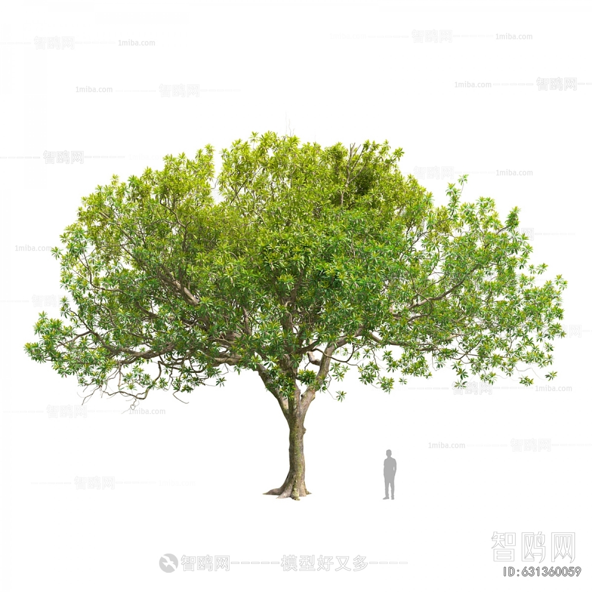 Modern Tree