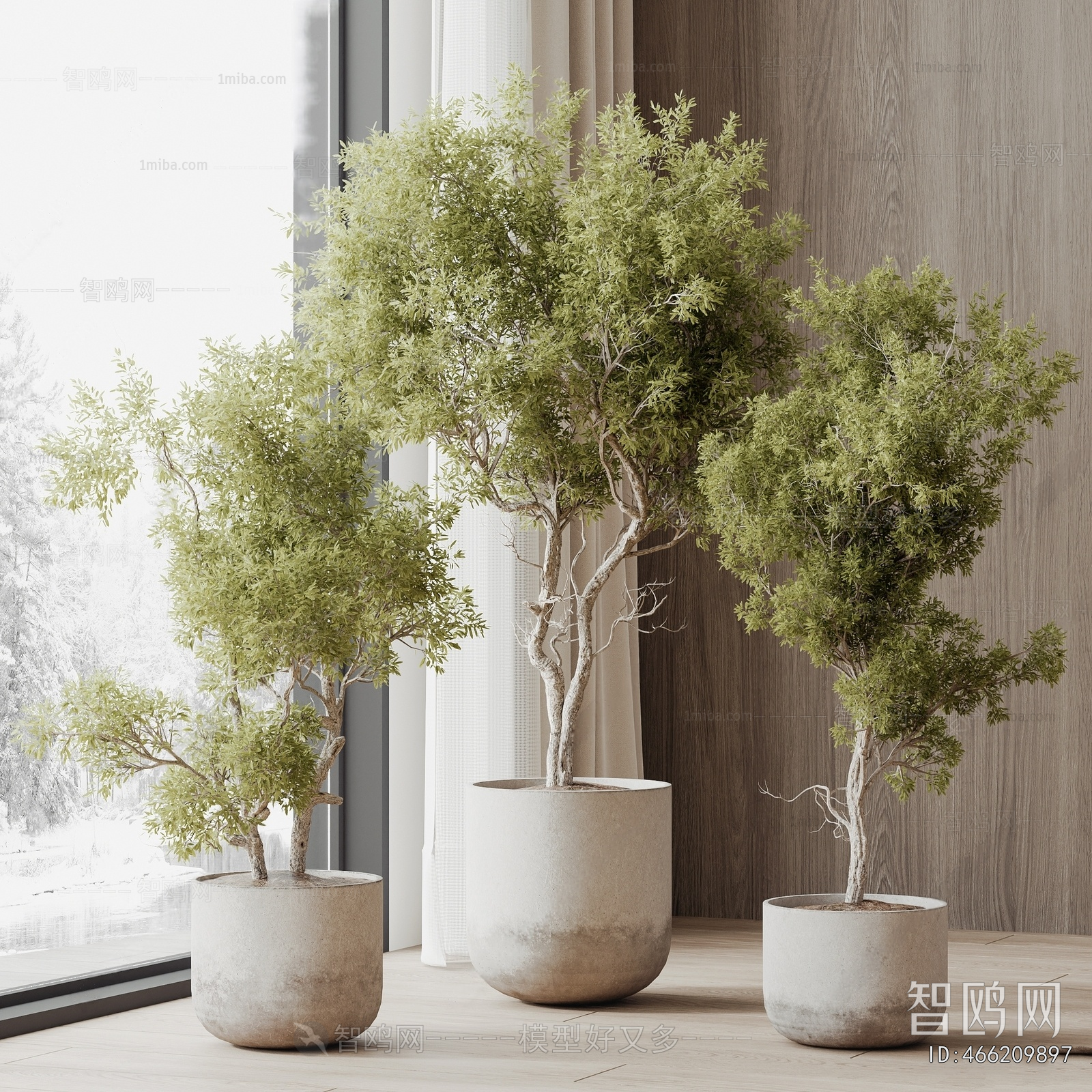 Modern Ground Green Plant Potted Plants