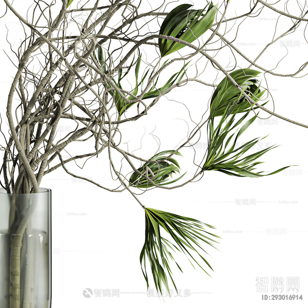 Modern Aquatic Green Plant